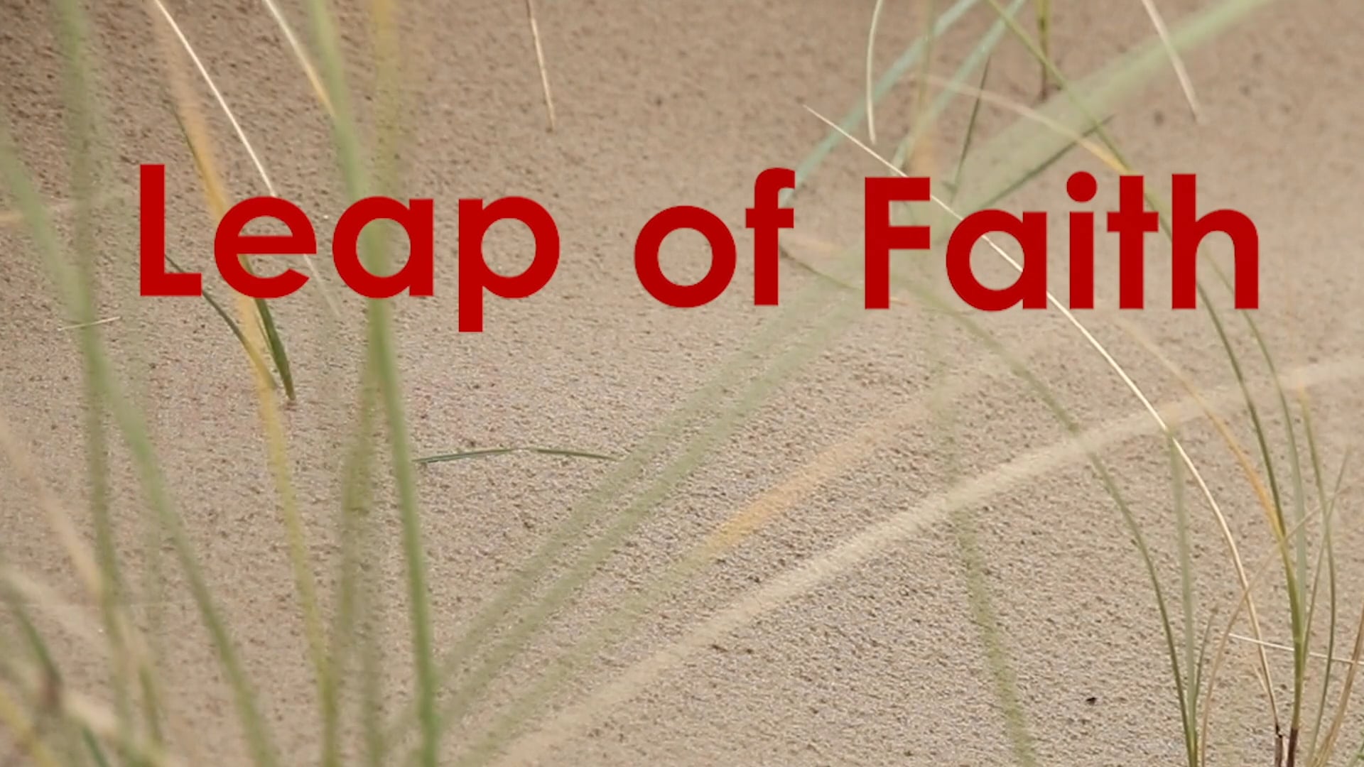 Bridge Project - Leap Of Faith