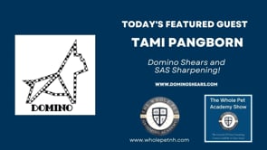 Interview Series with Tami Pangborn