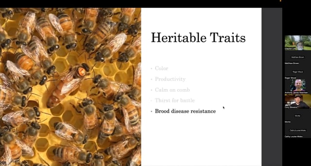 Honey Bee Genetics with Cory Stevens