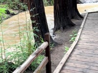 As the Waters Return - Reflections from Hidden Places