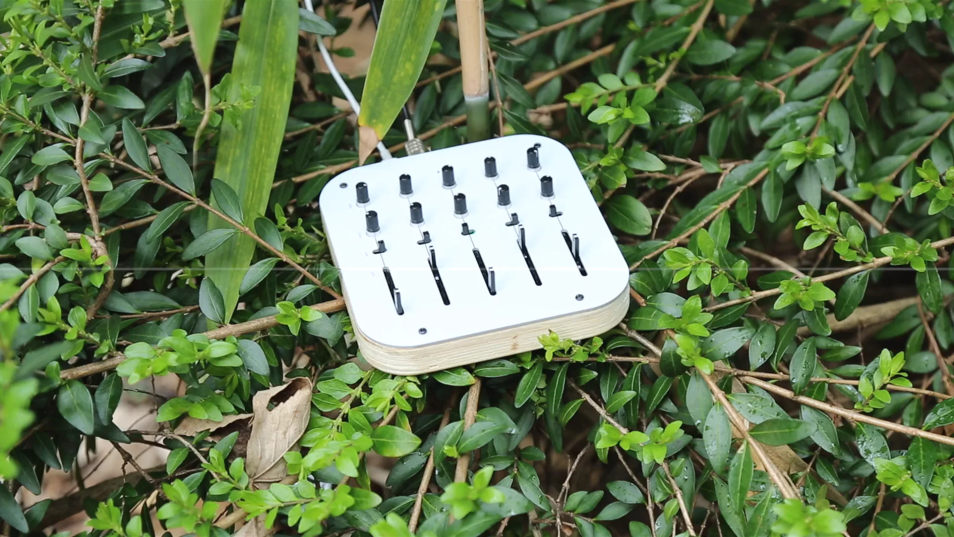 Crows Electromuisic - OVUM - analog sound explorer
