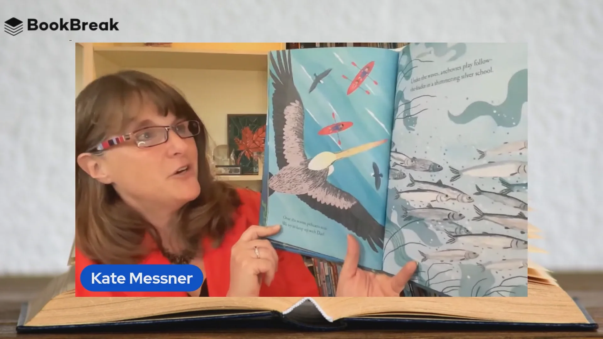 Kate Messner Reading.mp4 on Vimeo