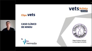 Caso clínico de Minou