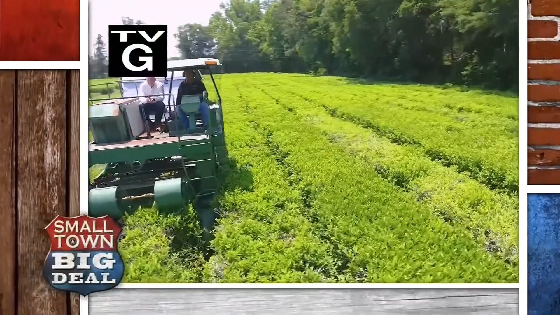 Charleston Tea Garden Shriver’s Taffy Sandwich in a Pickle on Vimeo