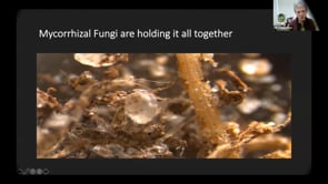 The Fungi That Help Make Your Food