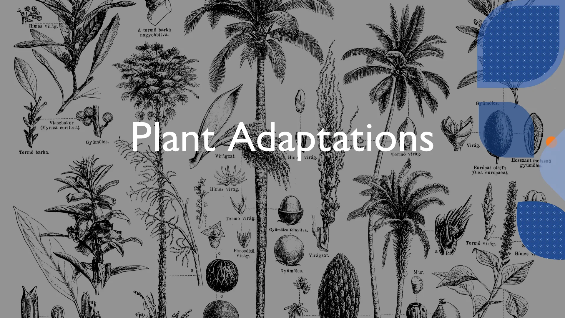 BIO 1021L Plant Adaptations.mp4 on Vimeo