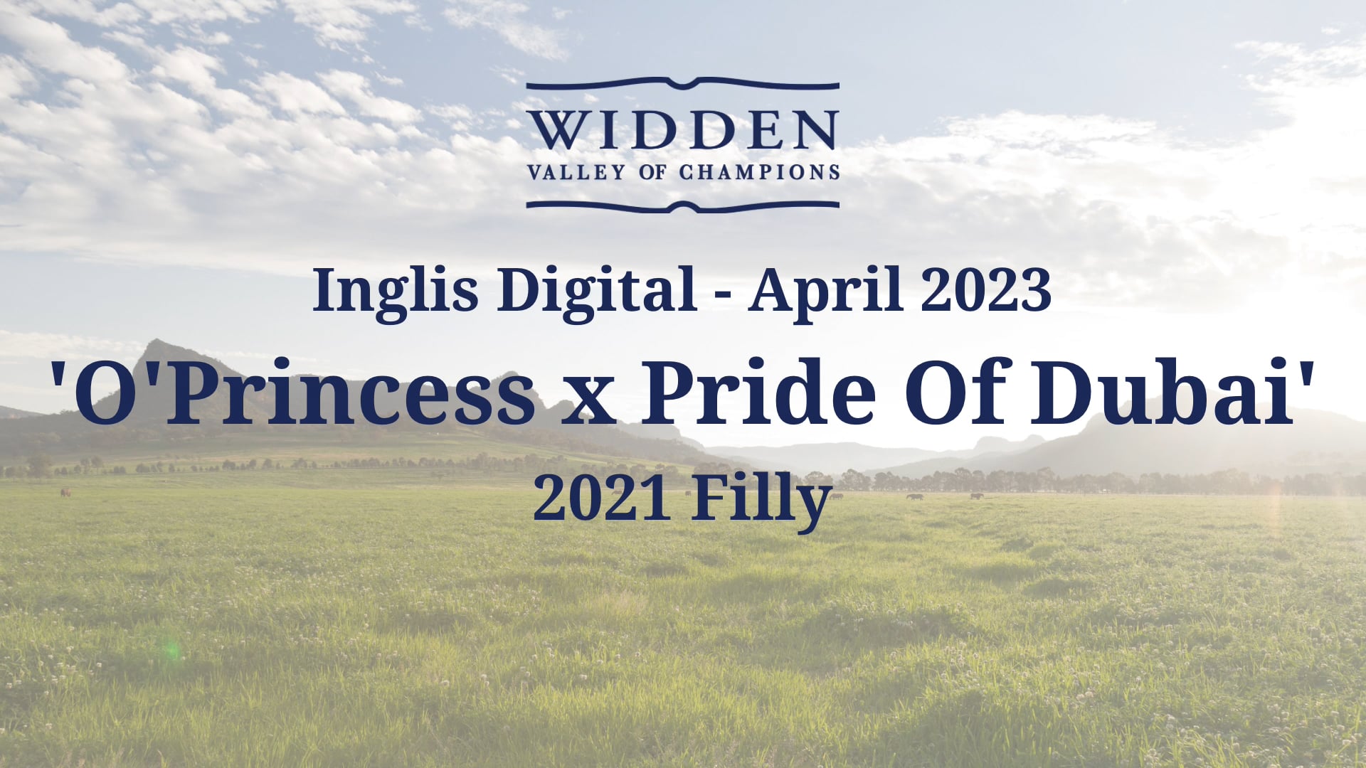 Inglis Digital - O’Princess 21 on Vimeo