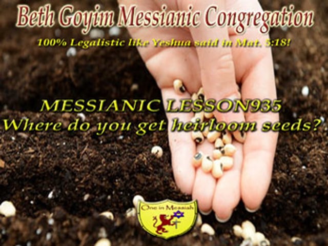 BGMCTV MESSIANIC LESSON 935 WHERE DO YOU GET HEIRLOOM SEEDS