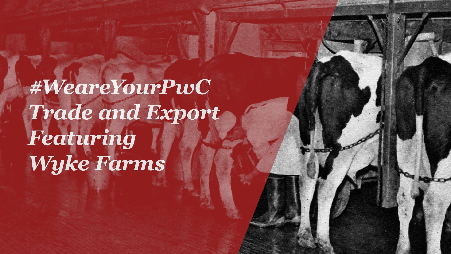 PwC - Wyke Farms: Trade & Export