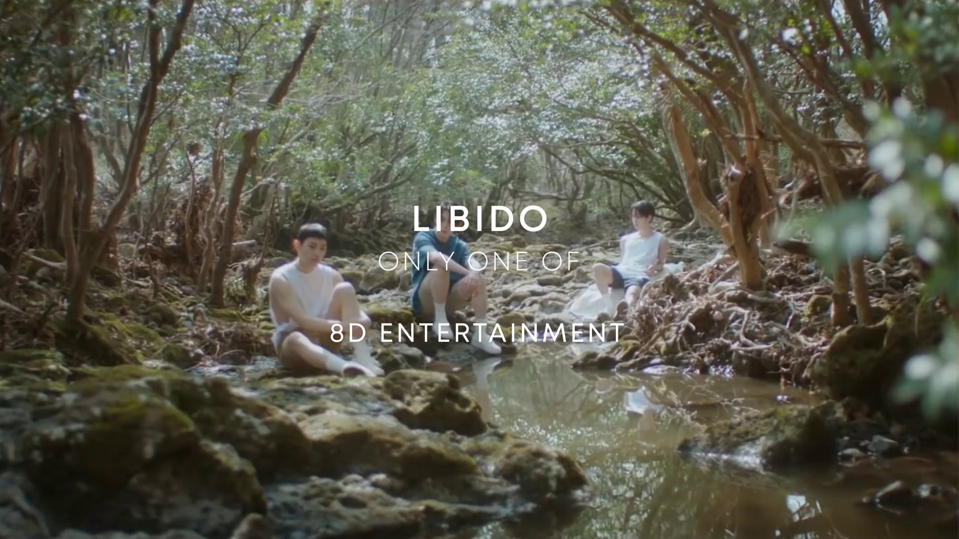 LIBIDO