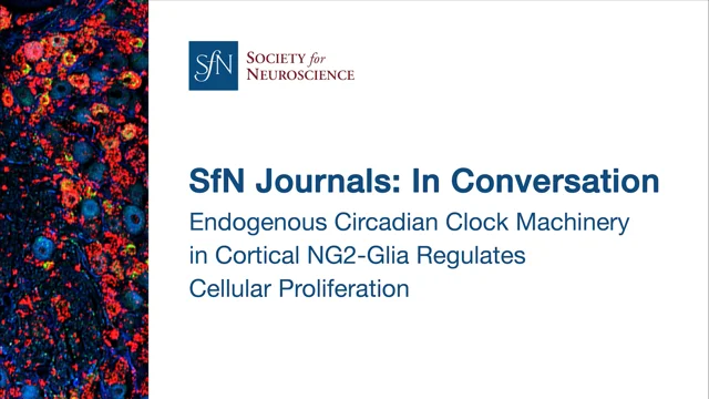 Glia, Neurobiology Journal