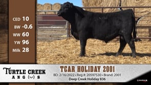 Lot #2001 - TCAR HOLIDAY 2001