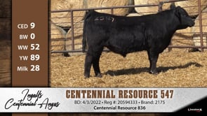 Lot #547 - CENTENNIAL RESOURCE 547