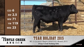 Lot #2015 - TCAR HOLIDAY 2015