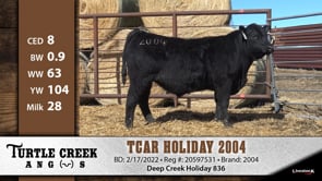 Lot #2004 - TCAR HOLIDAY 2004