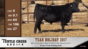 Lot #2017 - TCAR HOLIDAY 2017