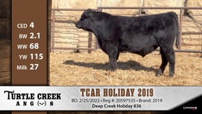 Lot #2019 - TCAR HOLIDAY 2019