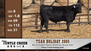 Lot #2005 - TCAR HOLIDAY 2005