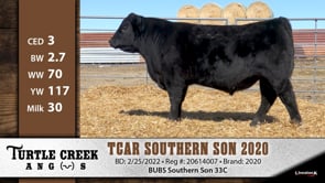 Lot #2020 - TCAR SOUTHERN SON 2020