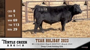 Lot #2023 - TCAR HOLIDAY 2023 ***OUT OF SALE***