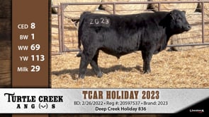 Lot #2023 - TCAR HOLIDAY 2023 ***OUT OF SALE***
