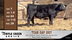 Lot #2037 - TCAR CAP 2037