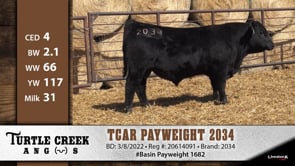 Lot #2034 - TCAR PAYWEIGHT 2034