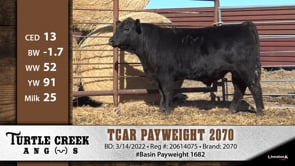 Lot #2070 - TCAR PAYWEIGHT 2070