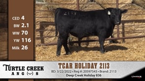 Lot #2113 - TCAR HOLIDAY 2113