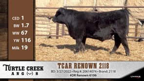 Lot #2118 - TCAR RENOWN 2118