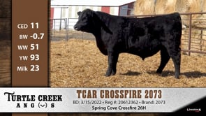 Lot #2073 - TCAR CROSSFIRE 2073