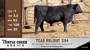 Lot #2154 - TCAR HOLIDAY 2154