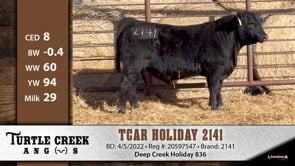 Lot #2141 - TCAR HOLIDAY 2141