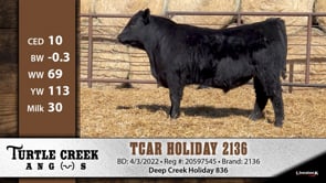 Lot #2136 - TCAR HOLIDAY 2136