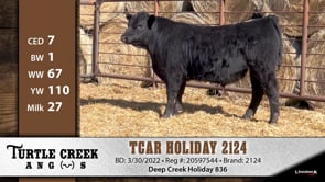 Lot #2124 - TCAR HOLIDAY 2124