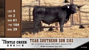Lot #2103 - TCAR SOUTHERN SON 2103