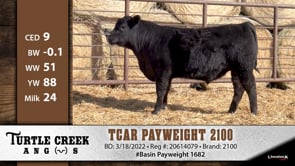 Lot #2100 - TCAR PAYWEIGHT 2100