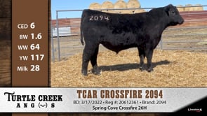Lot #2094 - TCAR CROSSFIRE 2094