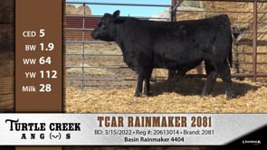 Lot #2081 - TCAR RAINMAKER 2081