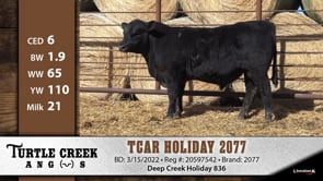 Lot #2077 - TCAR HOLIDAY 2077