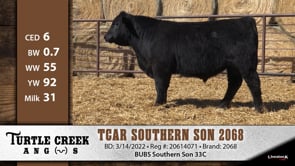 Lot #2068 - TCAR SOUTHERN SON 2068