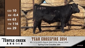 Lot #2054 - TCAR CROSSFIRE 2054