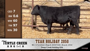 Lot #2050 - TCAR HOLIDAY 2050