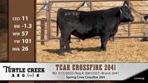 Lot #2041 - TCAR CROSSFIRE 2041