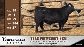 Lot #2038 - TCAR PAYWEIGHT 2038