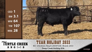 Lot #2033 - TCAR HOLIDAY 2033