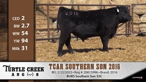 Lot #2016 - TCAR SOUTHERN SON 2016
