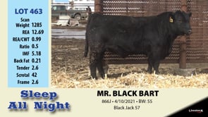 Lot #463 - MR. BLACK BART