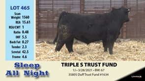 Lot #465 - TRIPLE S TRUST FUND