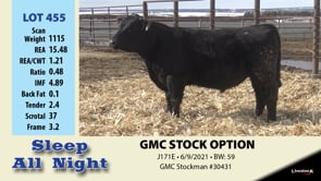 Lot #455 - GMC STOCK OPTION